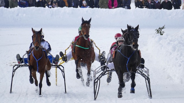 市場中顯然 市場中顯然