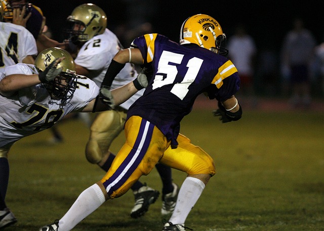 弗格的个人 弗格的个人