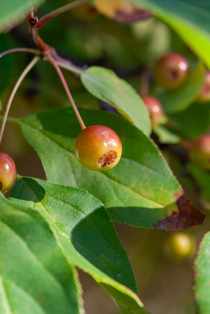 谁能更好地 谁能更好地