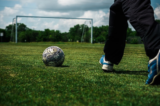 體協作能力 體協作能力