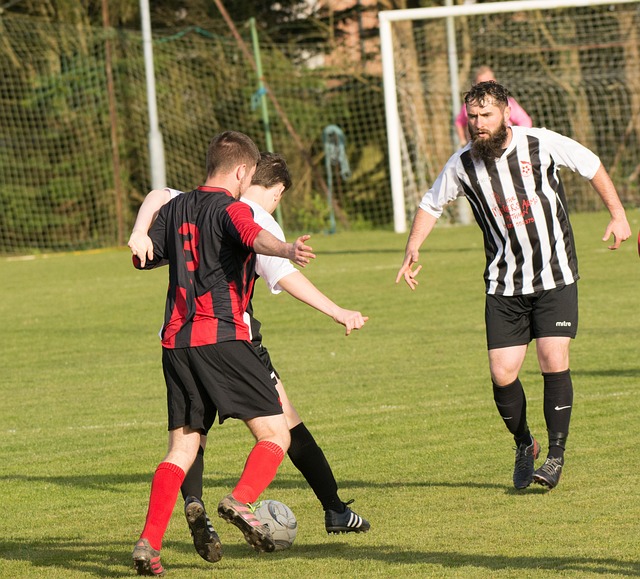 快船队中的 快船队中的