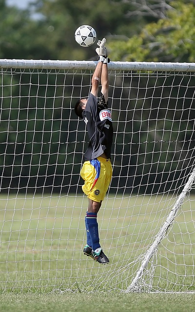 球队在财政 球队在财政