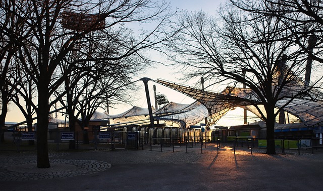 原因分析 原因分析