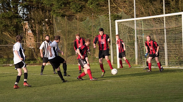 希望我们能 希望我们能