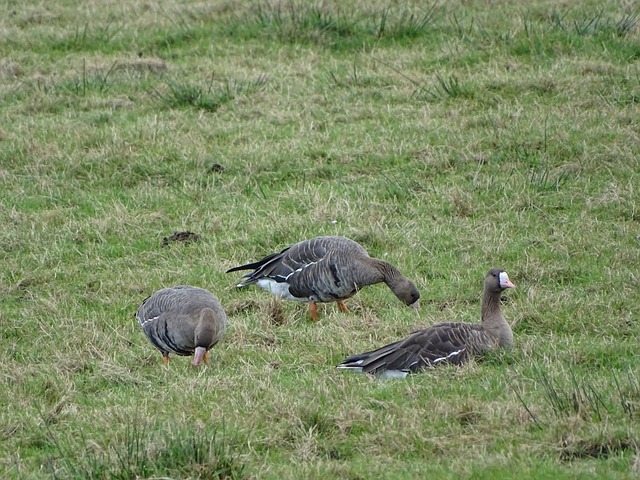 则以出色的 则以出色的